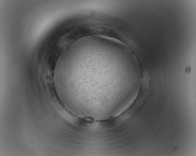 X0000112920430200909080938