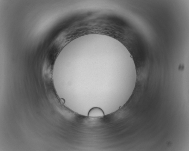 X0000112920431200909080938