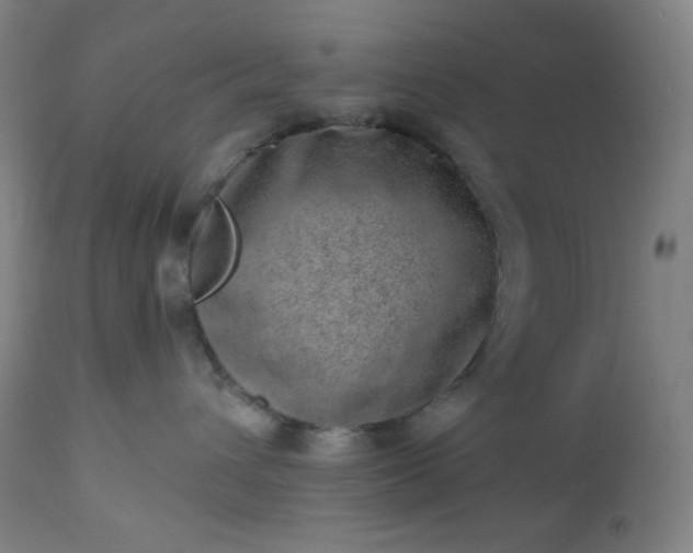 X0000112920432200909080938