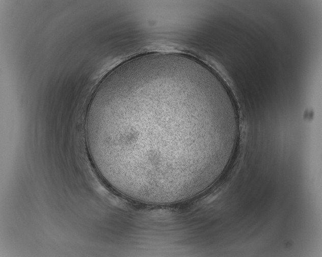 X0000112920433200909080937