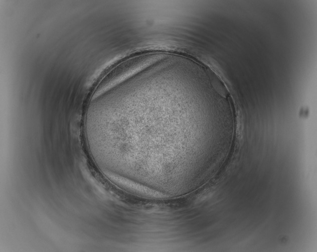 X0000112920434200909080937