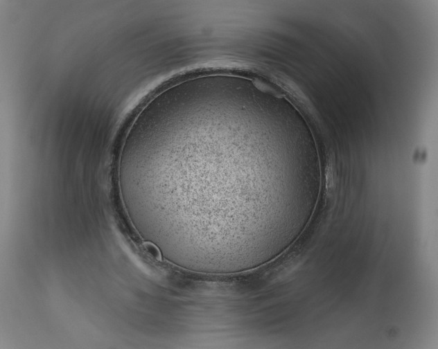 X0000112920436200909080937