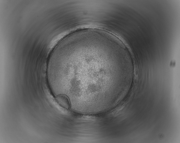 X0000112920437200909080937