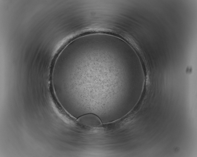 X0000112920438200909080937