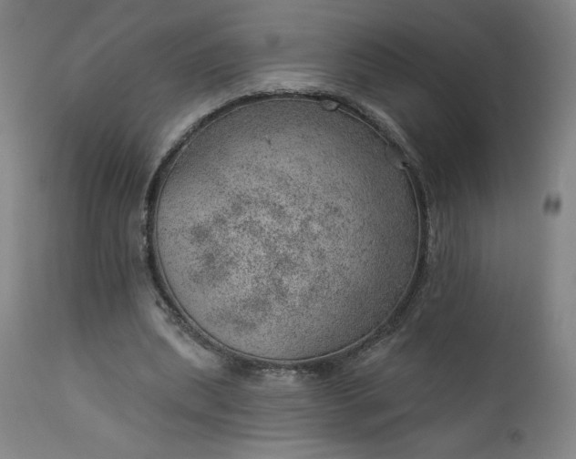 X0000112920439200909080937