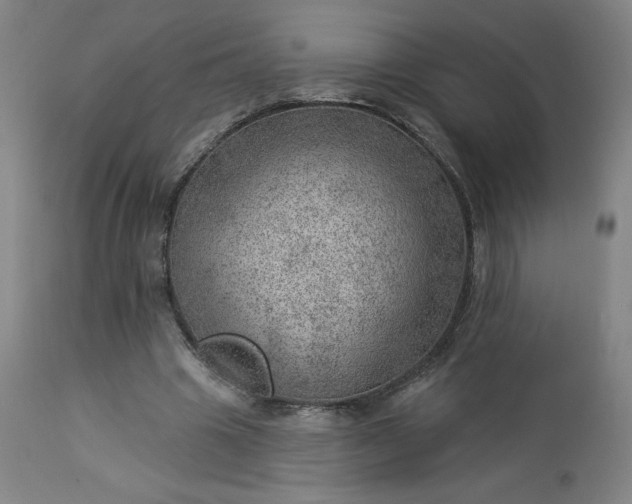 X0000112920441200909080937
