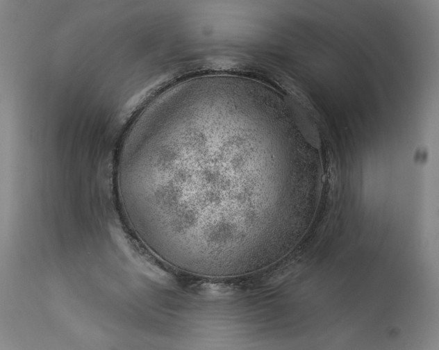 X0000112920442200909080937