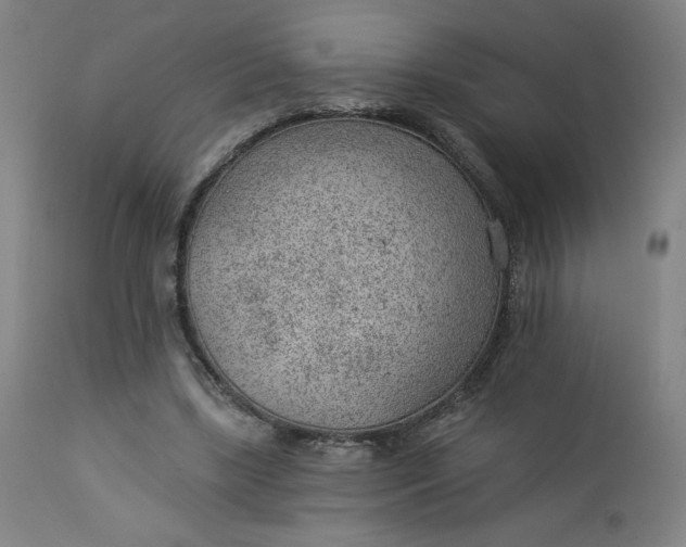 X0000112920443200909080937