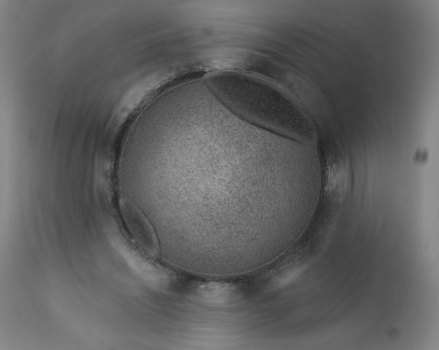 X0000112920444200909080937