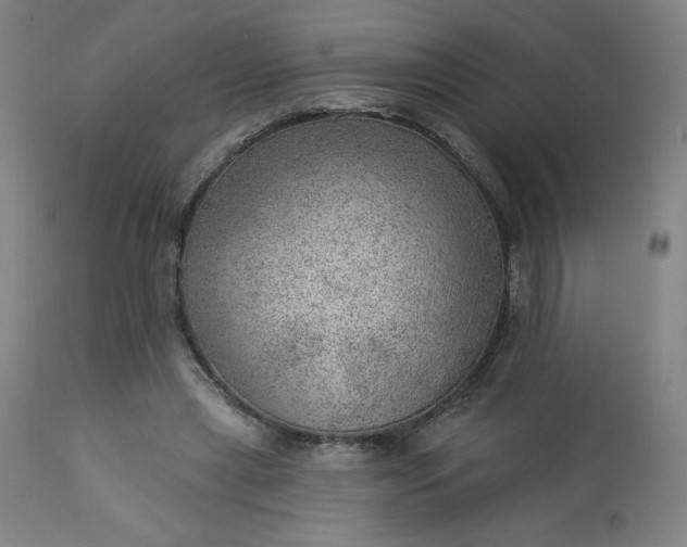 X0000112920445200909080937