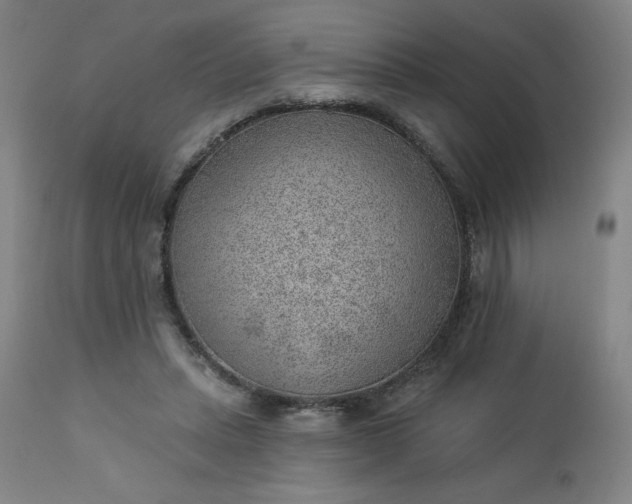 X0000112920447200909080937