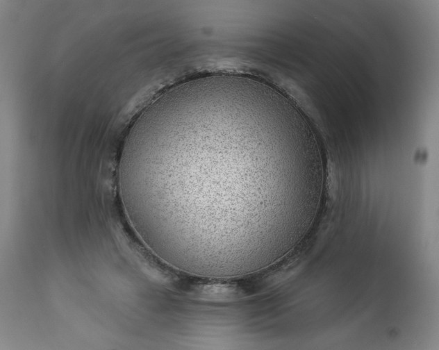 X0000112920449200909080938