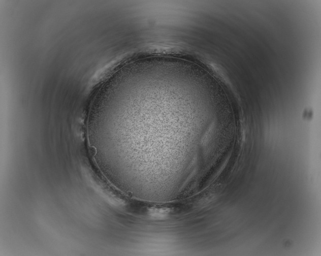 X0000112920450200909080938