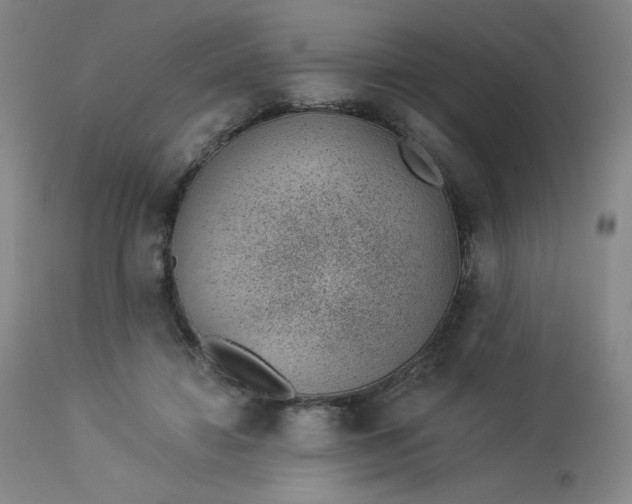 X0000112920452200909080938