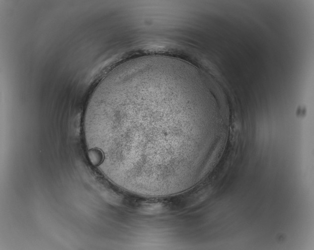 X0000112920454200909080938