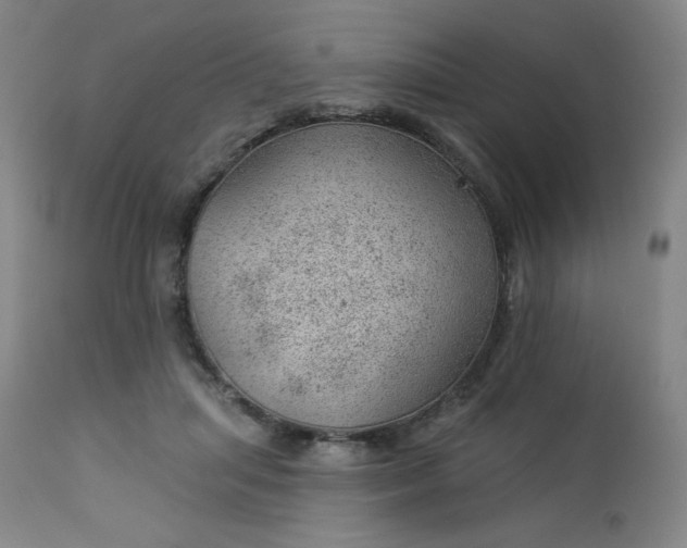X0000112920455200909080938