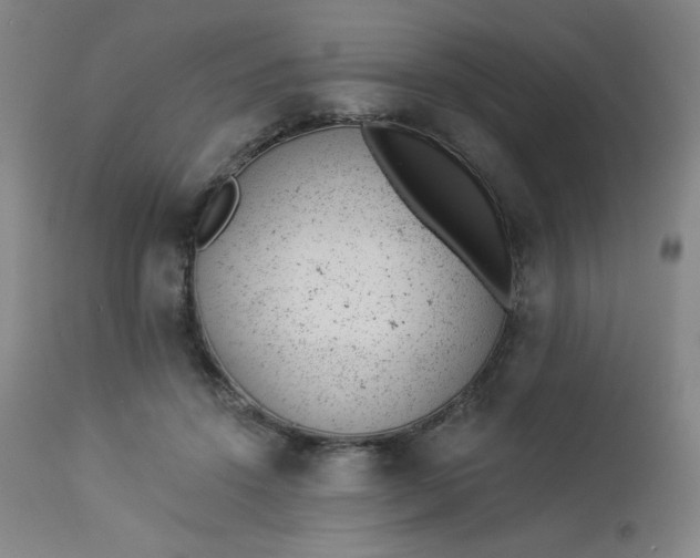 X0000112920456200909080938