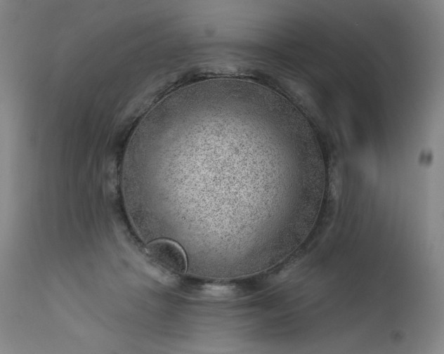 X0000112920457200909080938