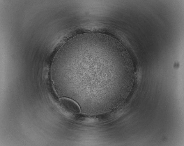 X0000112920458200909080938