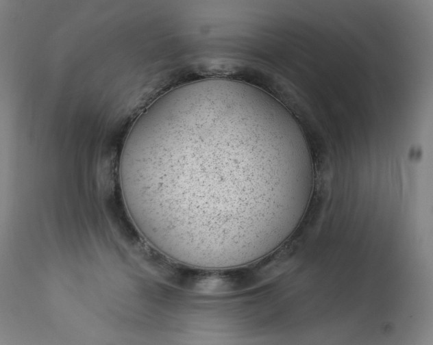 X0000112920460200909080938