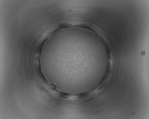 X0000112920462200909080938