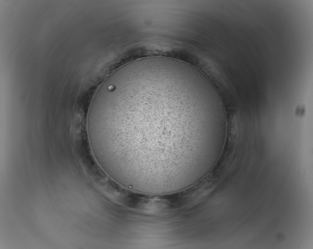 X0000112920463200909080938
