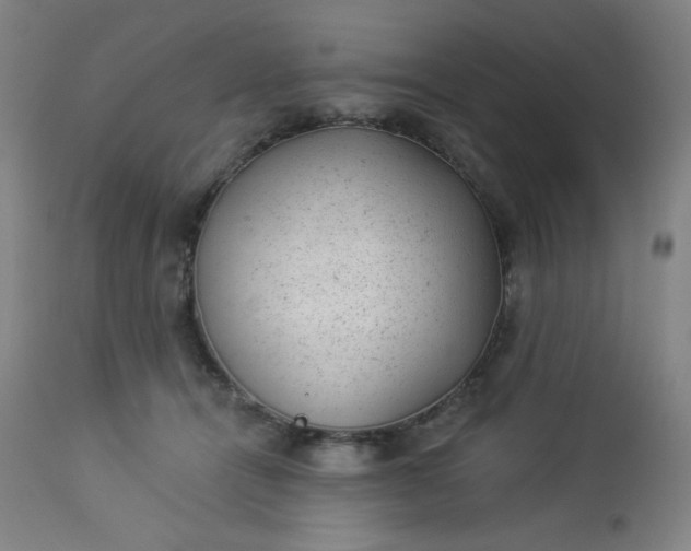X0000112920464200909080938