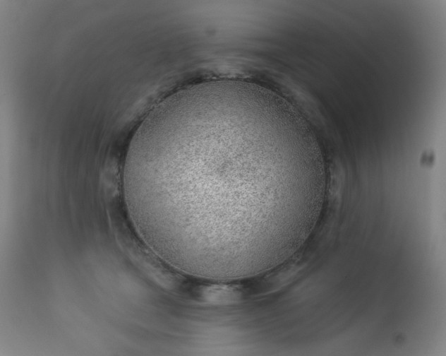 X0000112920465200909080938
