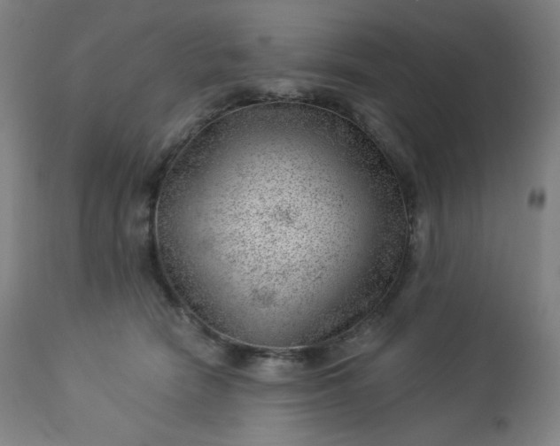 X0000112920466200909080938