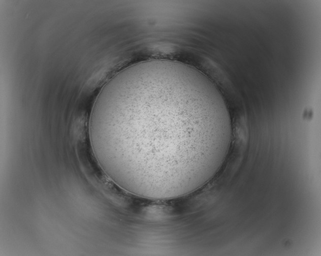 X0000112920468200909080938