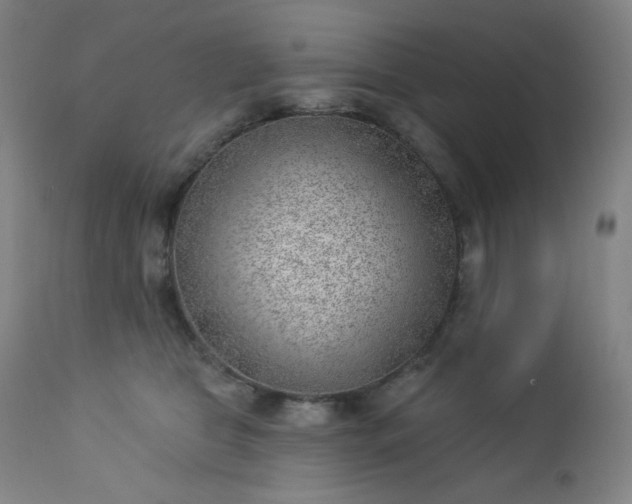 X0000112920469200909080938