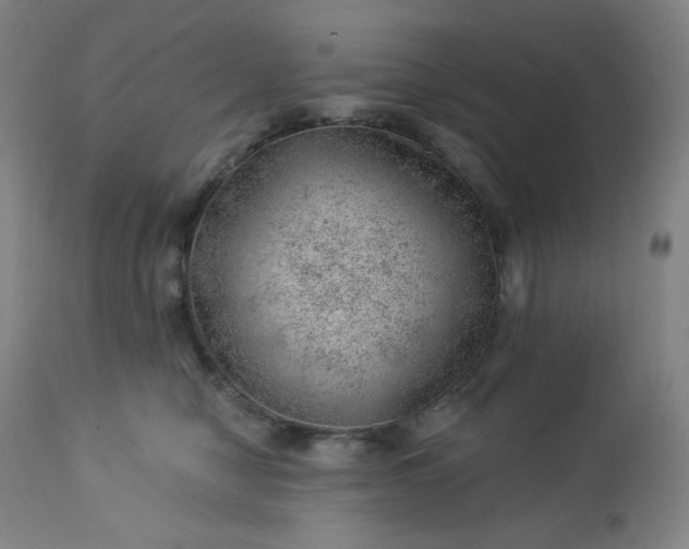 X0000112920470200909080938