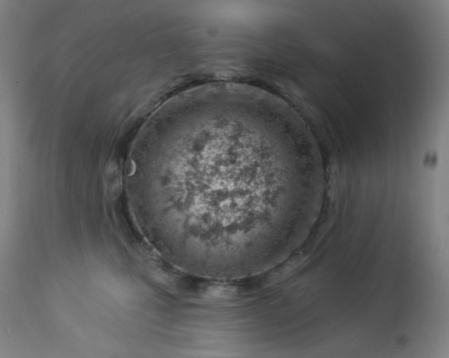 X0000112920471200909080938