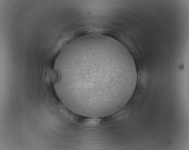 X0000112920474200909080938