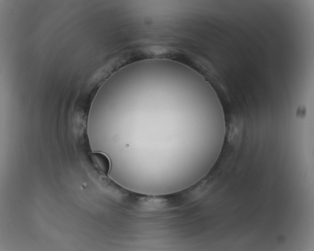 X0000112920476200909080938