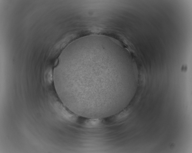 X0000112920479200909080938