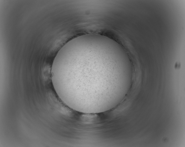 X0000112920480200909080938