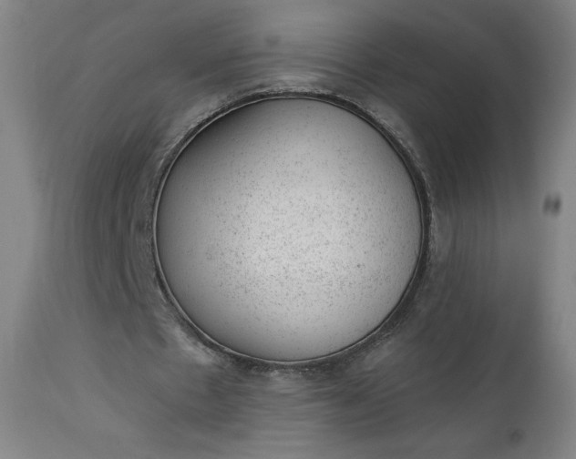X0000112920481200909080937