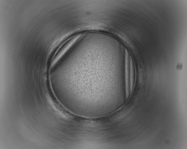 X0000112920486200909080937