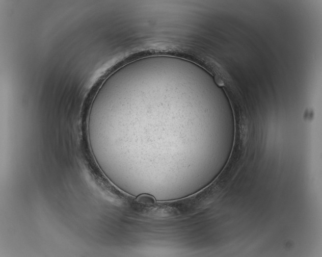 X0000112920488200909080937