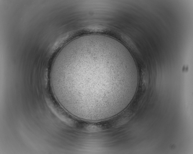 X0000112920494200909080937