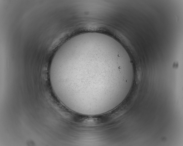 X0000112920497200909080937