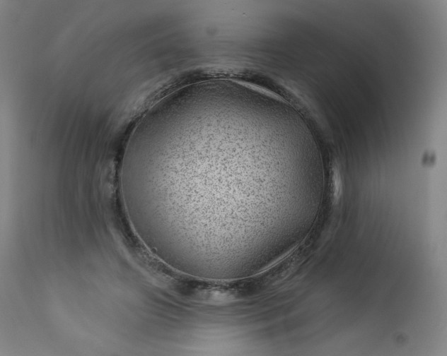 X0000112920498200909080937