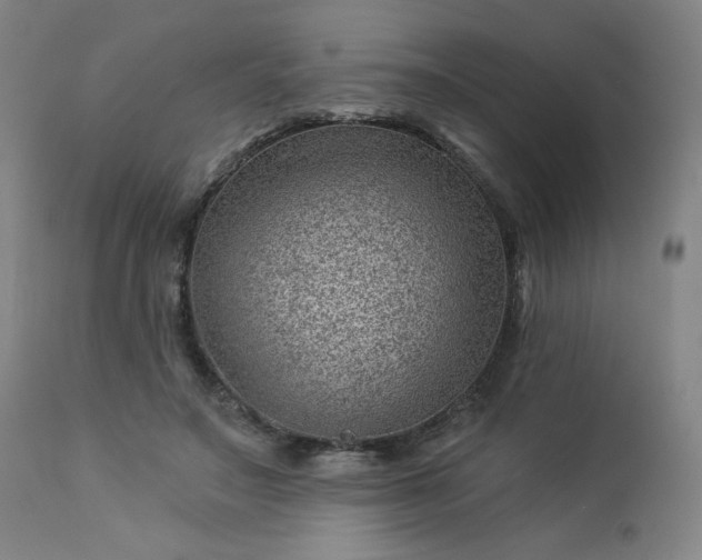 X0000112920499200909080937