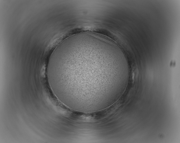 X0000112920502200909080937