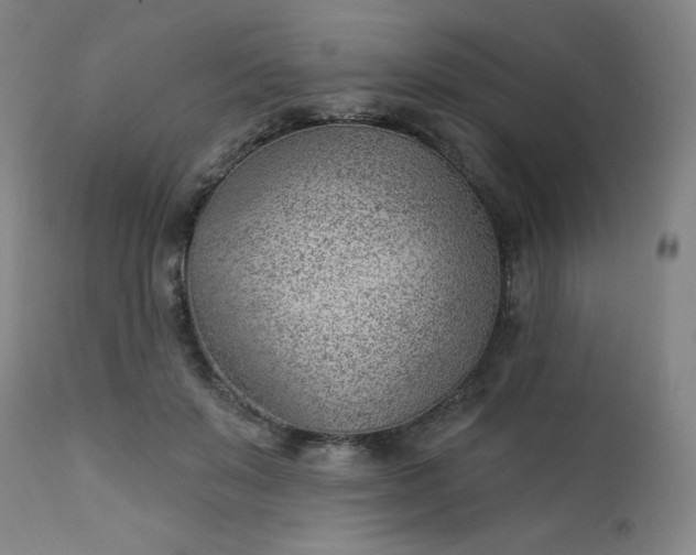 X0000112920503200909080937