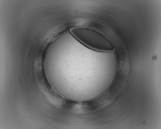 X0000112920504200909080937