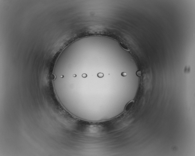 X0000112920508200909080937