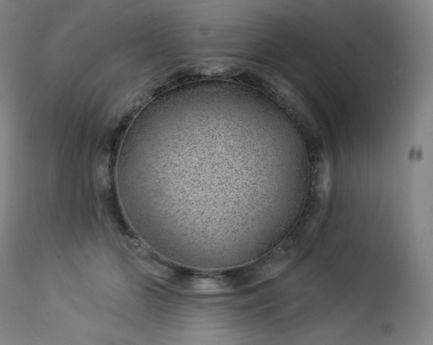 X0000112920510200909080937