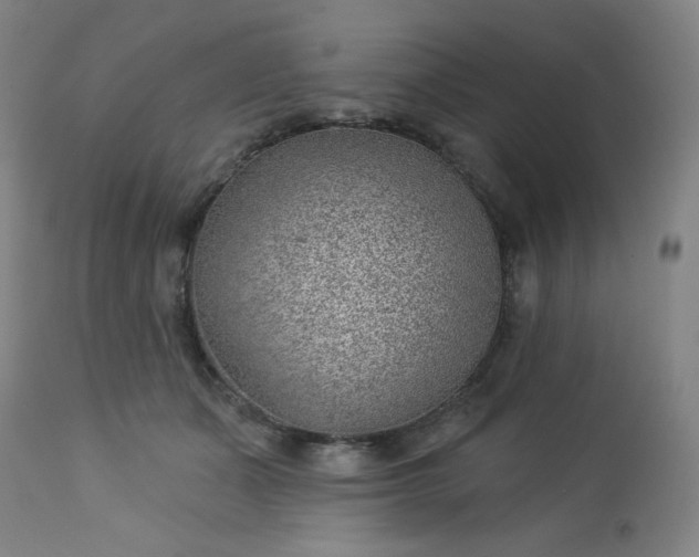 X0000112920511200909080937